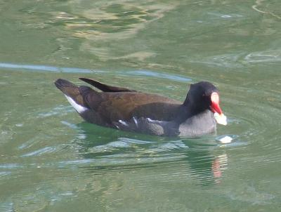 Прикрепленное изображение: 004.jpg